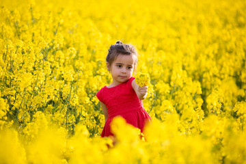Fototapeta premium beautiful little girl playing in colza field