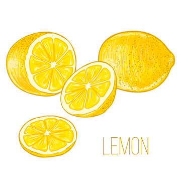 Lemons, sliced lemon on a white background. Vector.