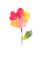 Foto op Plexiglas Watercolor painting of a flower © J.Zhuk