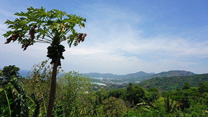 Fototapeta na wymiar phuket viewpoint