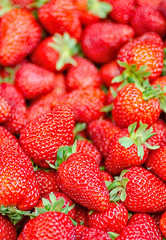 Fresh, ripe, sweet perfect strawberries as a background