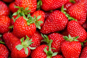 Fresh, ripe, sweet perfect strawberries as a background