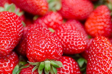 Fresh, ripe, sweet perfect strawberries as a background