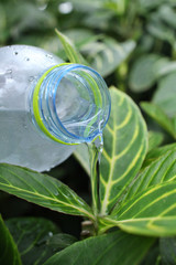 Water bottle