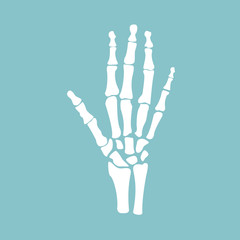 Hand bones vector