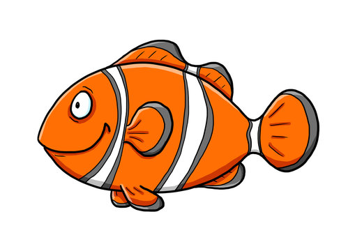 Clownfisch