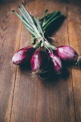 group of Tropea onion, sweet and famous italian type of red onion