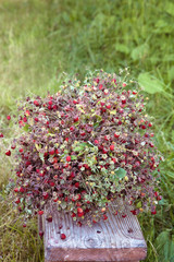 Basket with strawberries standing on a wooden bench.