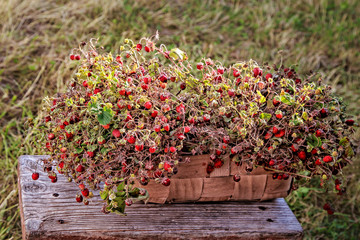 Basket with strawberries standing on a wooden bench.
