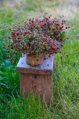 Basket with strawberries standing on a wooden bench.