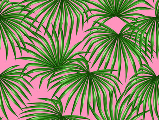 Fototapeta na wymiar Seamless pattern with palms leaves. Decorative image tropical leaf of palm tree Livistona Rotundifolia. Background made without clipping mask. Easy to use for backdrop, textile, wrapping paper