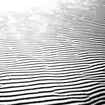 sand shaped by the wind