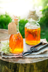 Homemade tincture with honey, linden and alcohol in garden