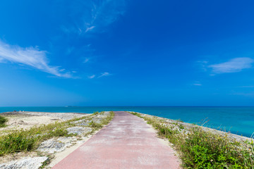 Fototapeta na wymiar 沖縄の海と大空 