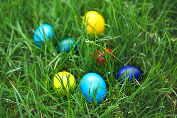 Fototapeta na wymiar Coloured Easter eggs on green grass, closeup