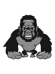 Gorilla agro monkey cool
