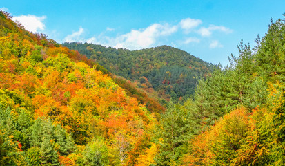 Fototapeta premium Colored hills