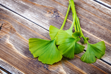 Ginkgo biloba on a wooden