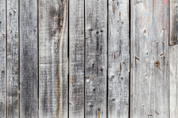 Fototapeta premium wooden boards background texture