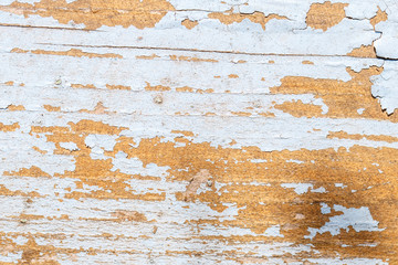 wooden boards background texture
