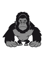 Gorilla agro cool