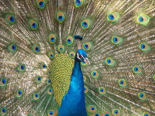 Obraz premium OLYMPUS DIGITAL CAMERA