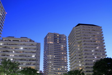 Fototapeta premium マジックアワーの空と高層ビル