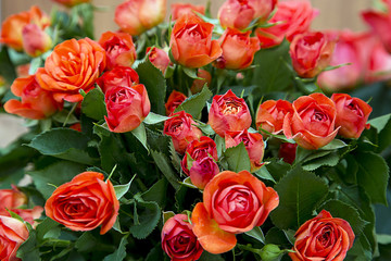 A beautiful bouquet of red roses