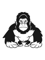 Gorilla agro cool