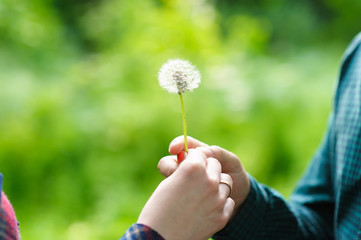 Man and woman hold a dandelion