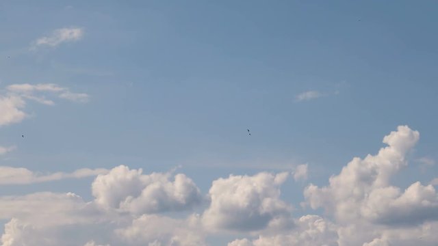 Time lapse clip of white fluffy clouds over blue sky. Beautiful cloudscape.