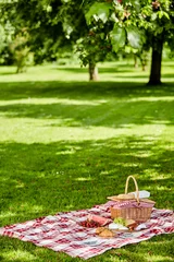 Keuken foto achterwand Picknick Genieten van een gezonde lentepicknick in de buitenlucht