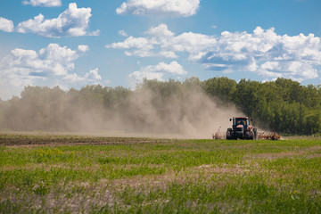 Fototapeta na wymiar Working Harvesting Combine in the Field of Wheat