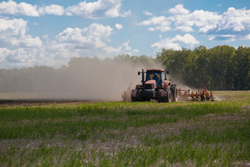 Obraz premium Working Harvesting Combine in the Field of Wheat