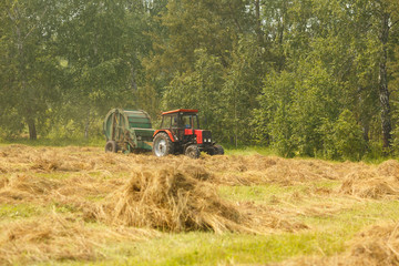 Working Harvesting Combine in the Field of Wheat