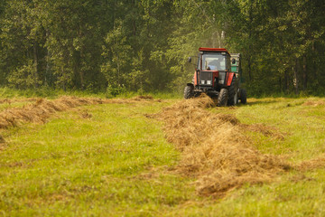 Working Harvesting Combine in the Field of Wheat