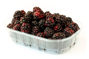 Blackberries on white background
