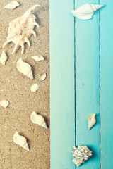 Summer concept with sandy beach, shells and cord.