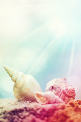 Summer concept with sandy beach, shells and cord.