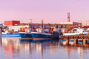 Obraz premium Ships in the Marina in Ventspils at sundown