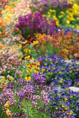 Naklejka premium 花壇