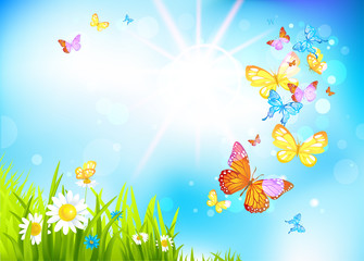 Fototapeta na wymiar Vector summer background with flowers and butterflies