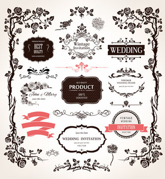 Vector design elements and calligraphic decorations for wedding