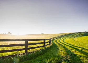  Horse Fence Snakes its Way Over the Hill © kellyvandellen