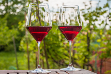 two glasses of red wine on the garden table