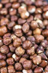 Hazenut (background image)