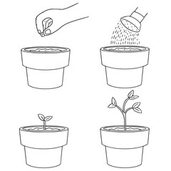 vector set of planting tree