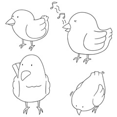 vector set of bird