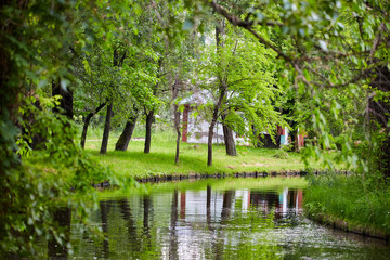 Lake in the park and trees