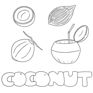 vector set of coconut